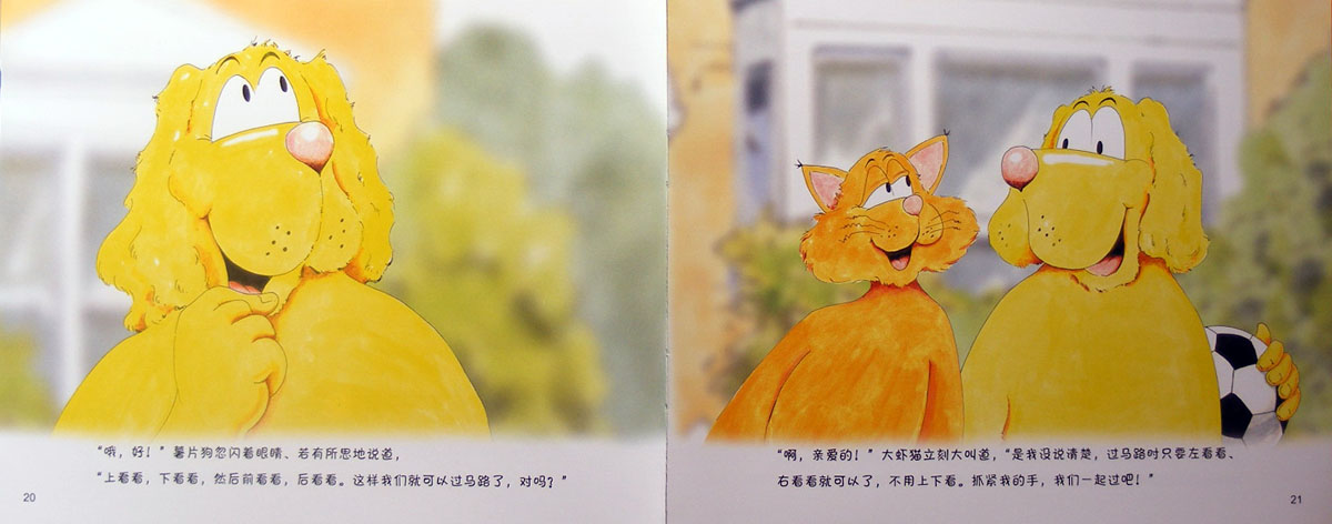 球王住进了医院 (10),绘本,绘本故事,绘本阅读,故事书,童书,图画书,课外阅读
